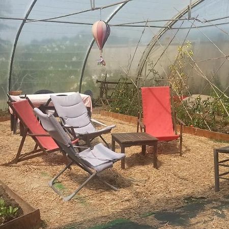 Appartement en bord de mer 40 m2, 2 personnes Étables Buitenkant foto